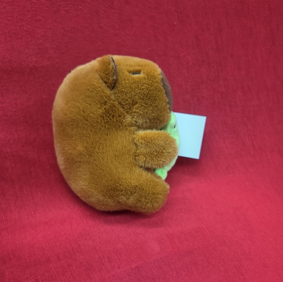 Capibara - Picture 2 of 5